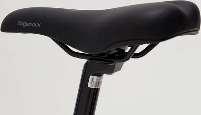 Ridgeback Destiny 24 Kids Bike in Blue-6